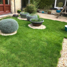 Techniques de taille pour maintenir un jardin esthétique et en bonne santé Saint-Joseph